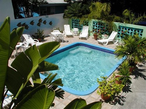 Turquoise Shell Inn Saint Martin Exterior foto